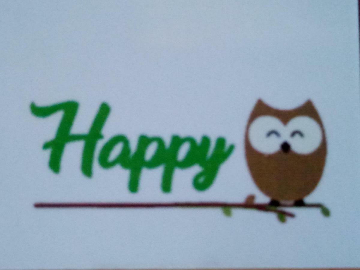 Happy Owl Ground Floor Appartment Zakynthos Exterior foto
